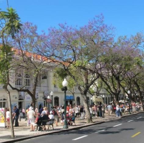 Apartment W Stunning View - Marina - Free Parking & Ac Funchal  Exterior foto
